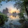 Natur 10