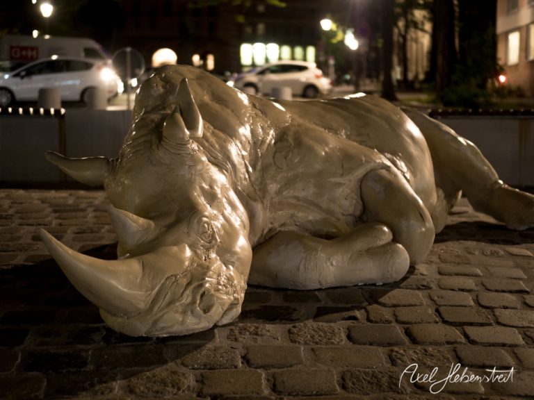 Ein liegendes, skulpturales Nashorn auf einem Kopfsteinpflasterweg bei Nacht, das eine ruhige Atmosphäre ausstrahlt. – © Axel Hebenstreit