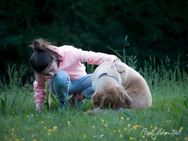 Ein Mädchen streichelt einen Hund auf einer grünen Wiese, umgeben von bunten Blumen und sanftem Licht. – © Axel Hebenstreit