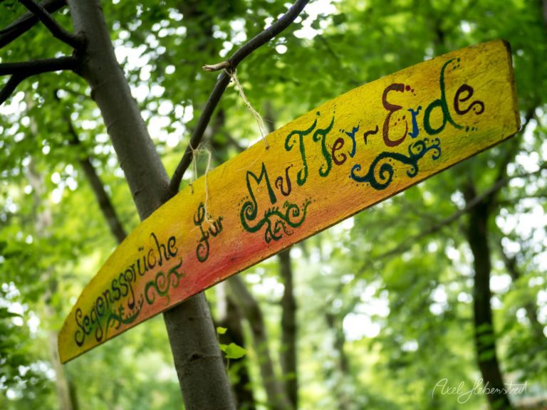 Buntes Holzschild mit der Aufschrift „Segenssprüche für Mutter Erde“ hängt in einer grünen Waldlandschaft – © Axel Hebenstreit