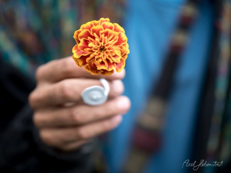 Nahaufnahme einer Person, die eine leuchtend orange-gelbe Blume festhält, mit einem bunte Muster im Hintergrund – © Axel Hebenstreit