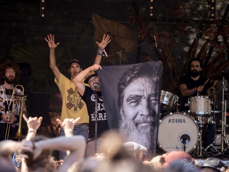 Ein Musiker hält ein Banner mit einem Porträt und begeistert die Menge auf einem Festival – © Axel Hebenstreit.