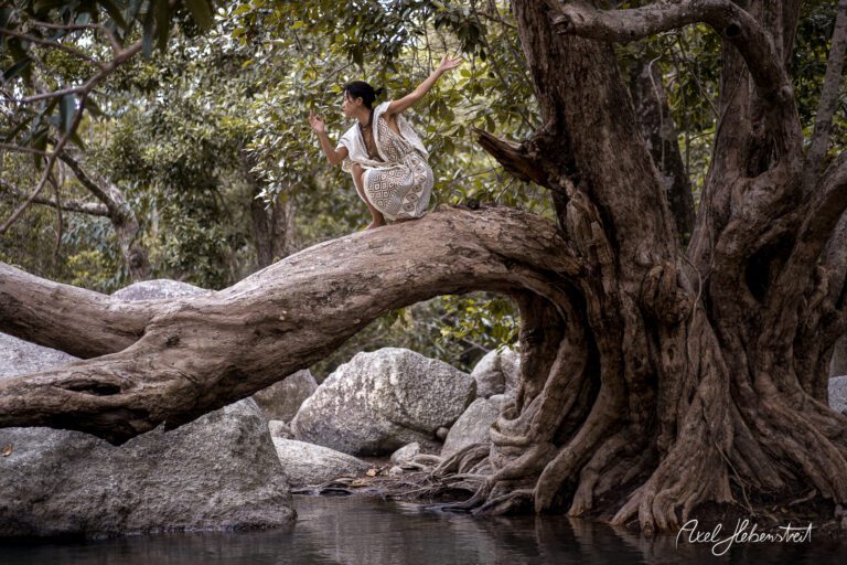 Eine Person in luftiger Pose auf einem Baumstamm über einem Gewässer in der Natur – © Axel Hebenstreit