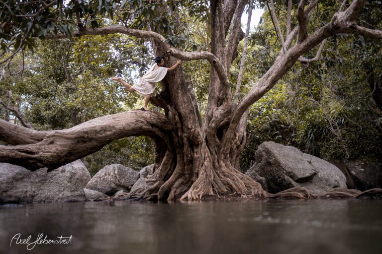 Eine Person in eleganter Pose hangelt sich an einem Baum über einem ruhigen Wasserlauf in der Natur. – © Axel Hebenstreit