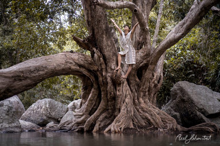 Eine Frau in einem eleganten Kleid posiert an einem majestätischen Baum am Wasser, umgeben von üppiger Natur – © Axel Hebenstreit