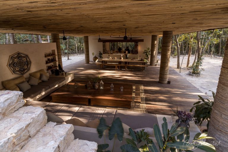 Moderne Architektur inmitten der Natur, stilvoll eingerichteter Raum mit Holz und Pflanzen – © Axel Hebenstreit