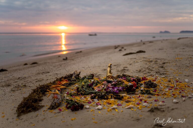 Ein goldenes Figurchen umgeben von bunten Blumen liegt am Strand, während die Sonne untergeht – © Axel Hebenstreit