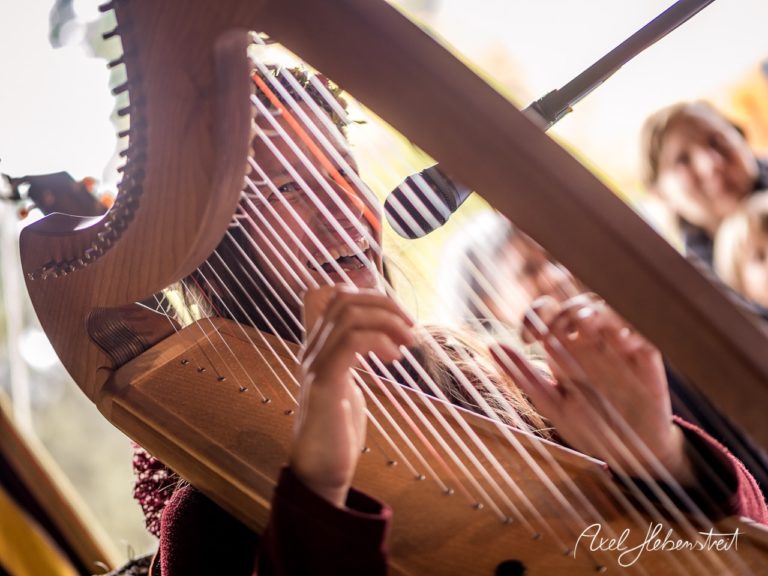 Eine Musikerin spielt leidenschaftlich Harfe auf einem Festival, umgeben von aufmerksam hörenden Zuschauern. – © Axel Hebenstreit