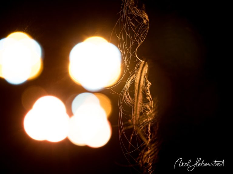 Porträt einer Person im Gegenlicht mit sanften Bokeh-Effekten im Hintergrund – © Axel Hebenstreit
