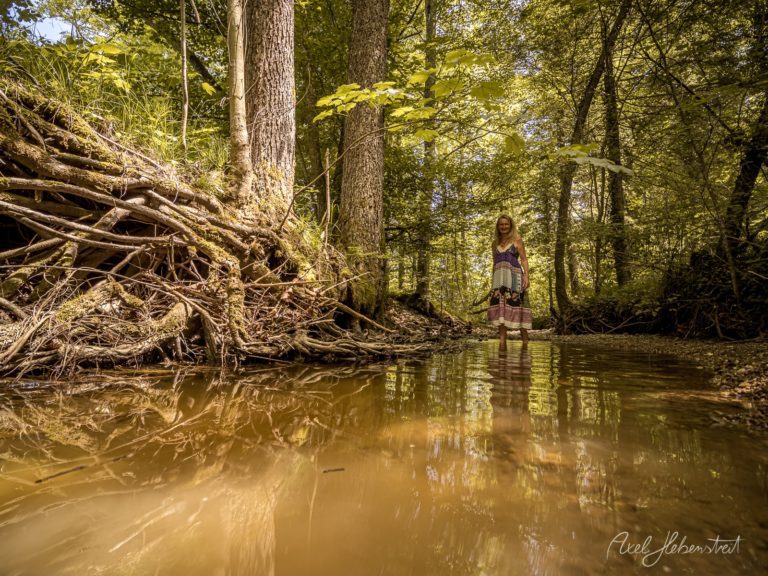 Frau steht in Flusslandschaft zwischen alten Baumwurzeln in grünem Wald – © Axel Hebenstreit