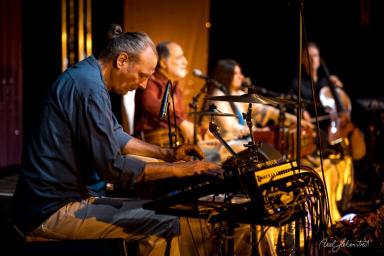 Ein Musiker spielt konzentriert an einem Keyboard während eines Konzerts mit weiteren Künstlern auf der Bühne – © Axel Hebenstreit