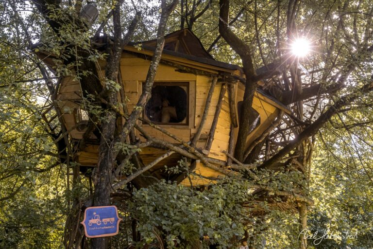Ein luftiges Baumhaus umgeben von grünem Laub, mit sanftem Sonnenlicht, das durch die Blätter strahlt – © Axel Hebenstreit