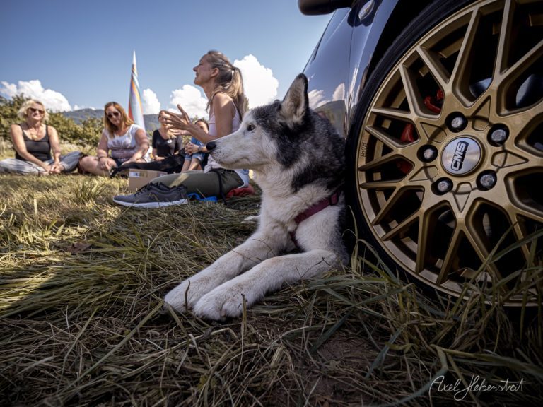 Ein grauweiß-schwarzer Husky liegt entspannt im Gras neben einem GMC-Fahrzeug, während eine Gruppe Personen im Hintergrund ein Picknick in den Bergen genießt – © Axel Hebenstreit