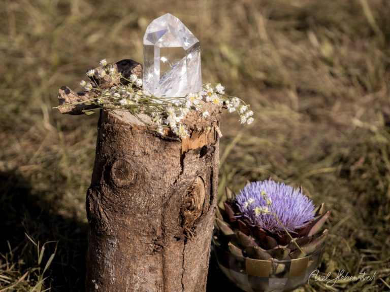 Kristallklarer Quarz auf Baumstumpf mit Wildblumen in natürlicher Waldlandschaft – © Axel Hebenstreit