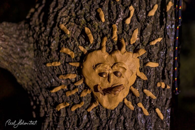 Ein künstliches Gesicht aus Ton mit Sonnenstrahlen auf einem Baumstamm, das eine kreative, fröhliche Stimmung vermittelt. – © Axel Hebenstreit