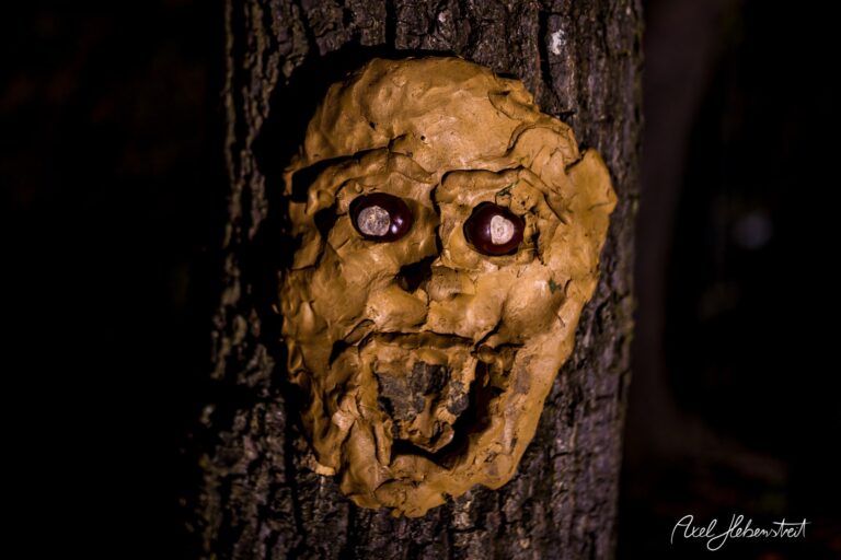 Eine groteske Tonmaske mit hervorstehenden Augen, die an einem Baum angebracht ist. – © Axel Hebenstreit