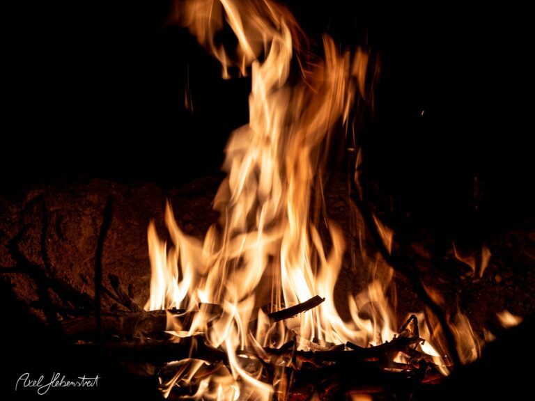 Flammende Feuerzungen tanzen über einem Holzstapel in der Dunkelheit – © Axel Hebenstreit