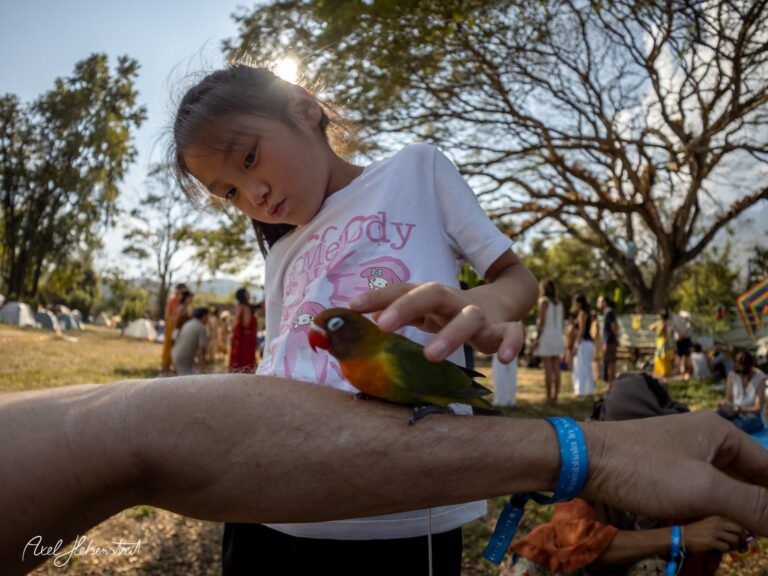 Ein Mädchen streichelt einen bunten Vogel auf dem Arm eines Erwachsenen in einer fröhlichen Festivalatmosphäre – © Axel Hebenstreit