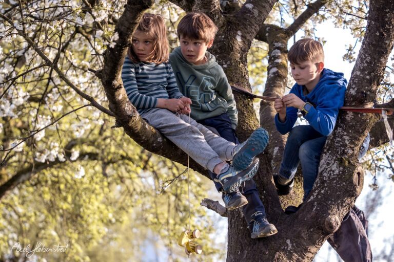 Drei Kinder sitzen in einem Baum und beobachten gespannt etwas, umgeben von blühenden Zweigen – © Axel Hebenstreit