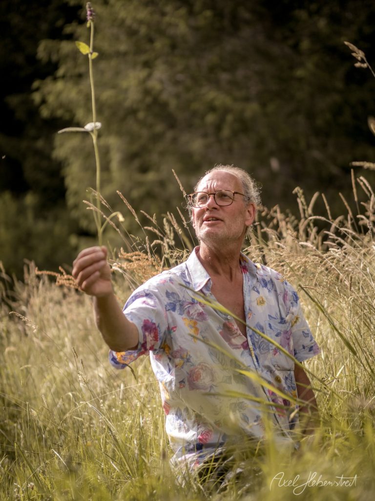 Mann mit Brille in farbigem Hemd erforscht nachdenklich wilde Gräser und Blüten in einem naturbelassenen Feld – © Axel Hebenstreit