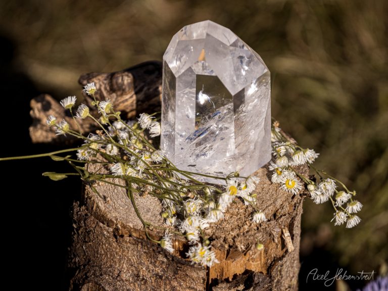 Transparenter Bergkristall auf Baumstumpf mit weißen Gänseblümchen in natürlicher Waldumgebung – © Axel Hebenstreit