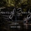 Video: „TRACES OF BEAUTY” IN MEXIKO (2022)